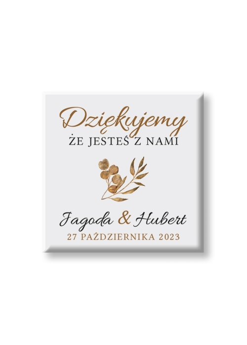 Magnesy Beżowe trawy